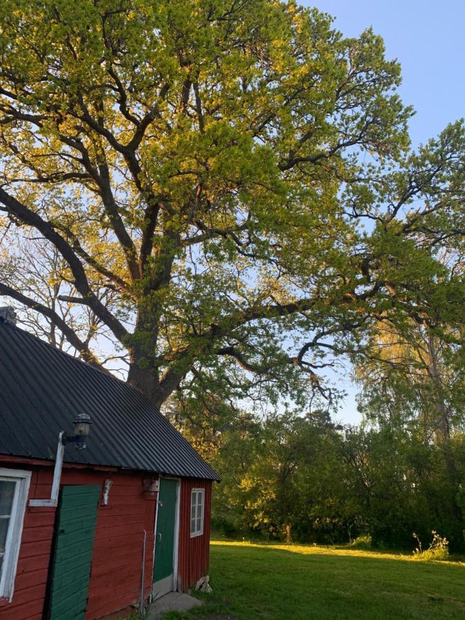 Martebo Bed & Breakfast Tingstäde Kültér fotó
